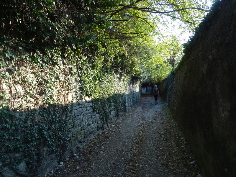 Giro del Monteghello -  sentiero F1 (Rovereto)